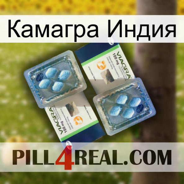 Камагра Индия viagra5.jpg